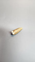 Cute Ceramic Slug by MW Ceramics