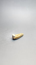 Cute Ceramic Slug by MW Ceramics